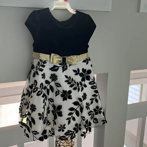 Toddler girl special occasion dress - Picture 1 of 4